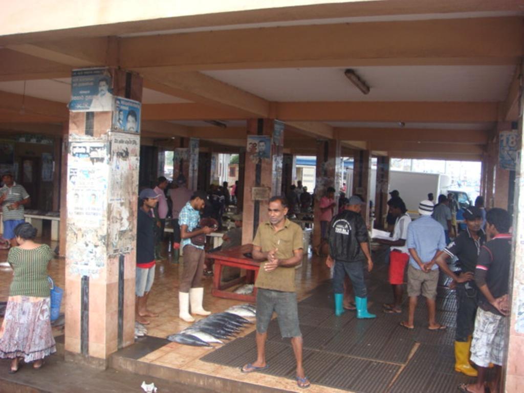 Randi Homestay In Negombo Bagian luar foto