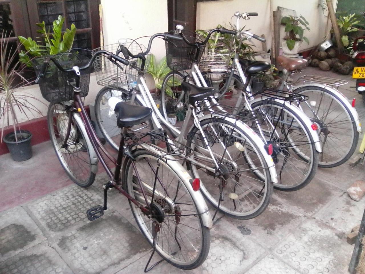 Randi Homestay In Negombo Bagian luar foto